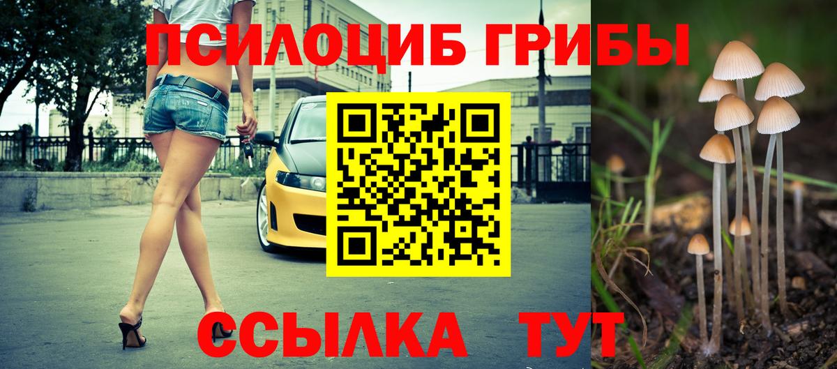продажа наркотиков  Псилоцибиновые грибы GOLDEN TEACHER  Вход с VPN  Кирово-Чепецк 